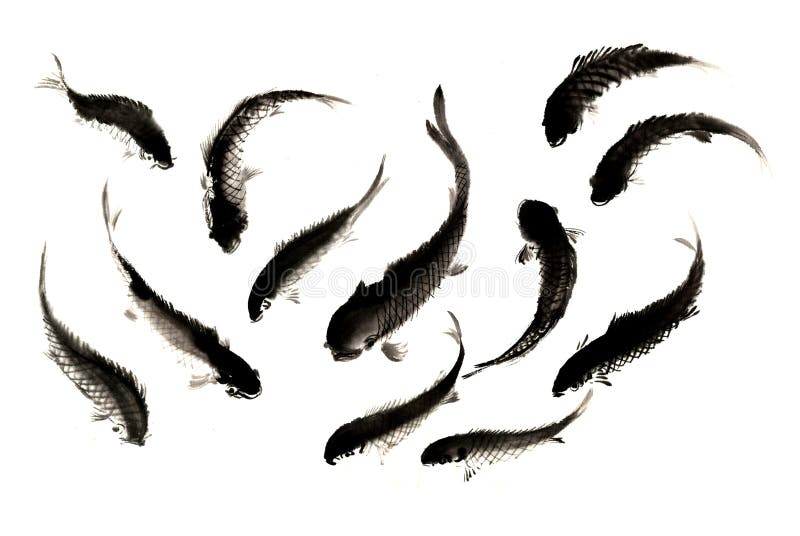 Tinta-carpa pintada a mano decorativa magnífica distinguida tradicional china ilustración del vector Tinta-carpa pintada a mano decorativa magnífica distinguida tradicional china ilustración del vector