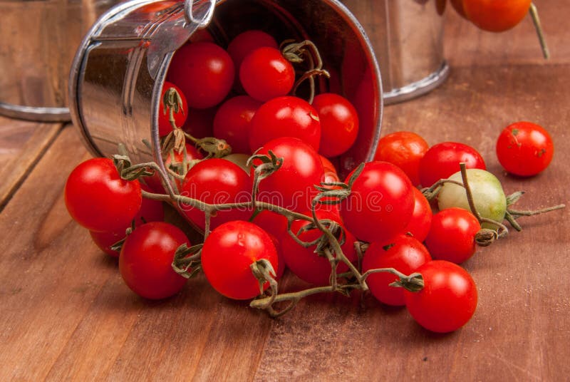 Tiny baby tomatoes in a small bucket