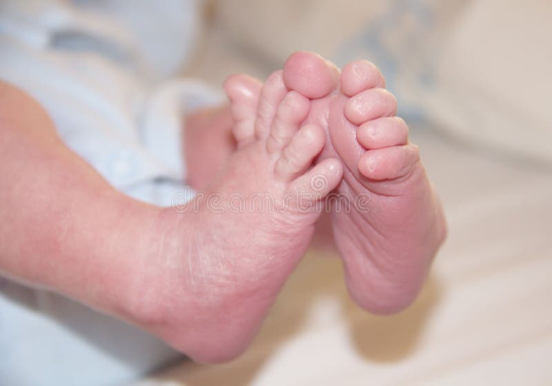 Tiny feet of newborn baby stock photo. Image of little 32072296