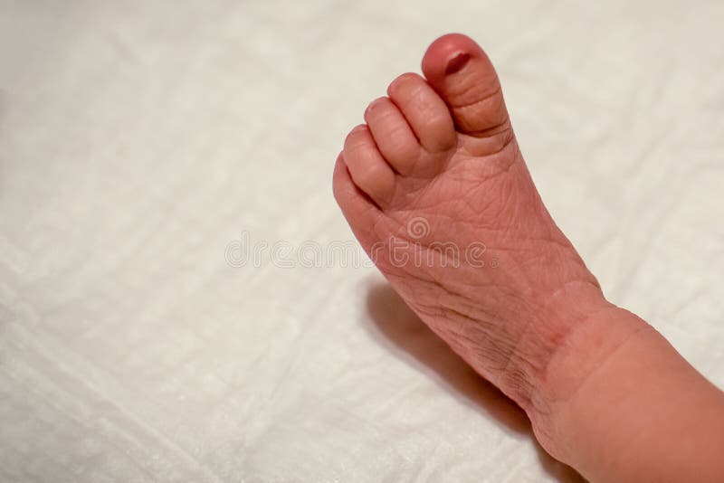 Tiny foot of newborn baby stock photo. Image of lifestyle 90391236