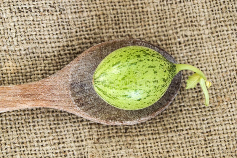 Tiny Melon Baby, but As Big As a Spoon Stock Image Image of cheddar