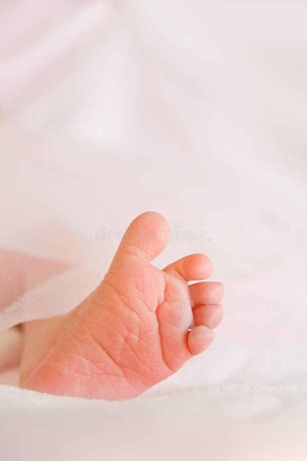 Tiny Newborn Baby Feet stock image. Image of feet, beautiful 27530709