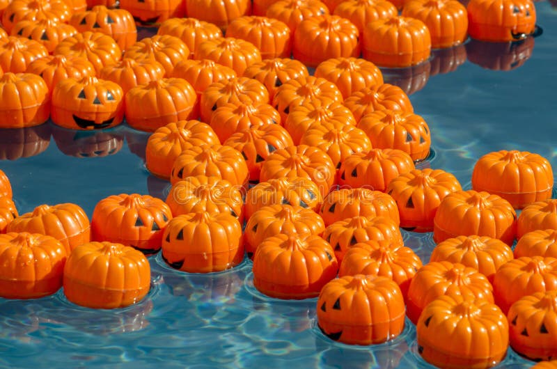 Tiny pumpkins float in a child`s pool, all marked on the bottom with a special number. Pick the right number, win a great prize. Tiny pumpkins float in a child`s pool, all marked on the bottom with a special number. Pick the right number, win a great prize