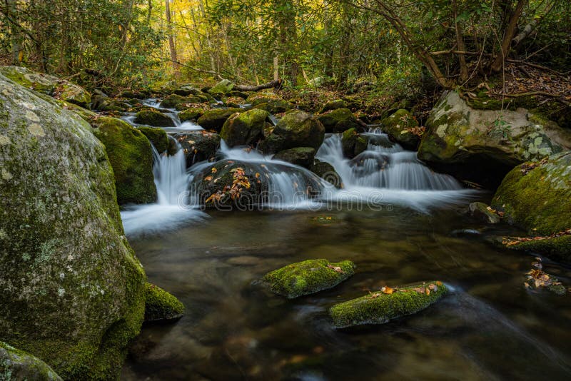 Tiny Unnamed Waterfalls In Rushing Creek