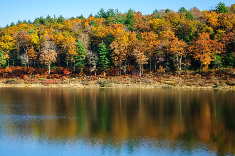 Tionesta Lake and Dam stock image. Image of tree, sunset 68631235