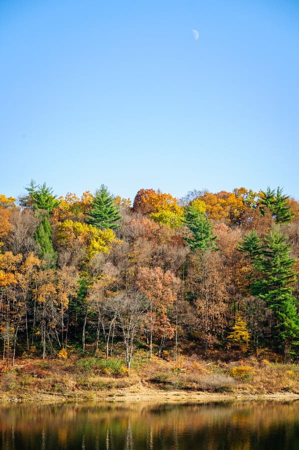 Tionesta Lake and Dam stock photo. Image of forest, sunset 68631404