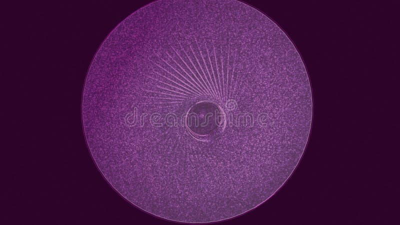 Tipar circular geometric variabil de fond abstract vector illustration