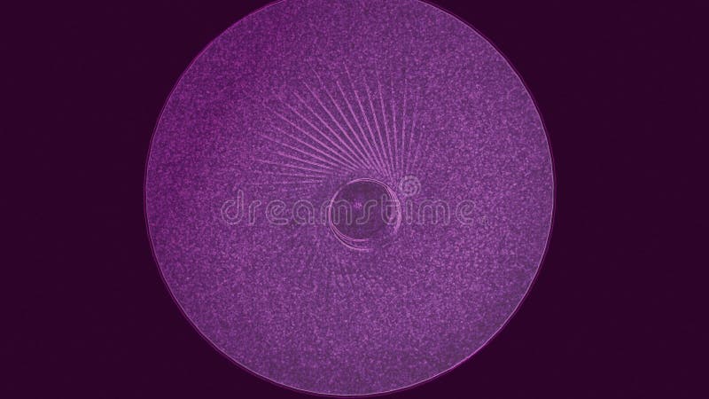 Tipar circular geometric variabil de fond abstract vector illustration