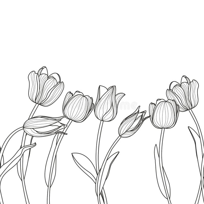 Tipar orizontal fără sudură în floral. fond alb-negru elegant cu flori de lalele desenate manual. vector illustration