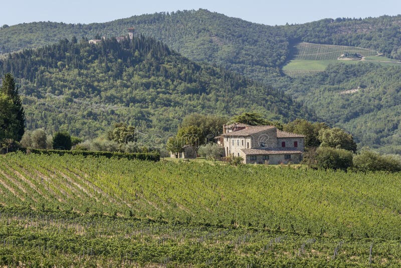 Tipico paesaggio di Chianti Classico nel comune di Greve, Toscana, Italia immagini stock libere da diritti Tipico paesaggio di Chianti Classico nel comune di Greve, Toscana, Italia immagini stock libere da diritti