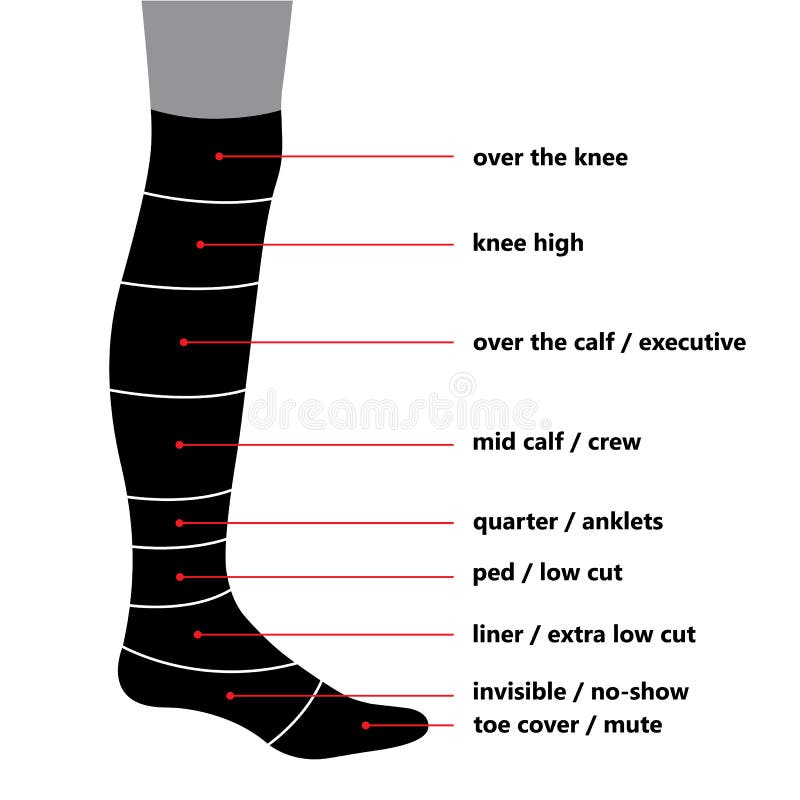 Calcetines Ilustraciones Stock Vectores Y Clipart 24 364 calcetines-ilustraciones-stock-vectores-y-clipart-24-364