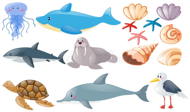 Tipos diferentes de animais de mar ilustração do vetor Tipos diferentes de animais de mar ilustração do vetor