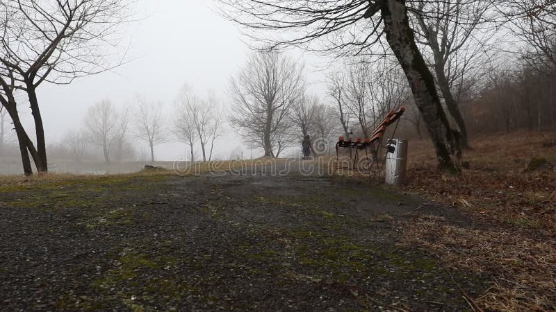 Tir de glisseur Videz le banc au parc près de l'étang par jour brumeux, scène froide minimalistic de saison banc au lac dans le b clips vidéos