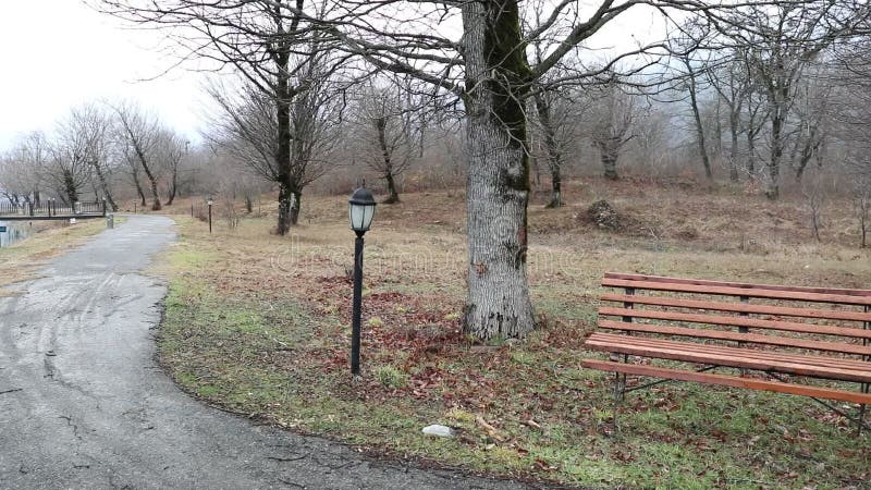 Tir de glisseur Videz le banc au parc près de l'étang par jour brumeux, scène froide minimalistic de saison banc au lac dans le b banque de vidéos