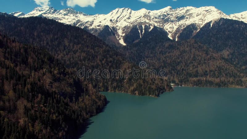 Tir de la forêt d'en haut banque de vidéos