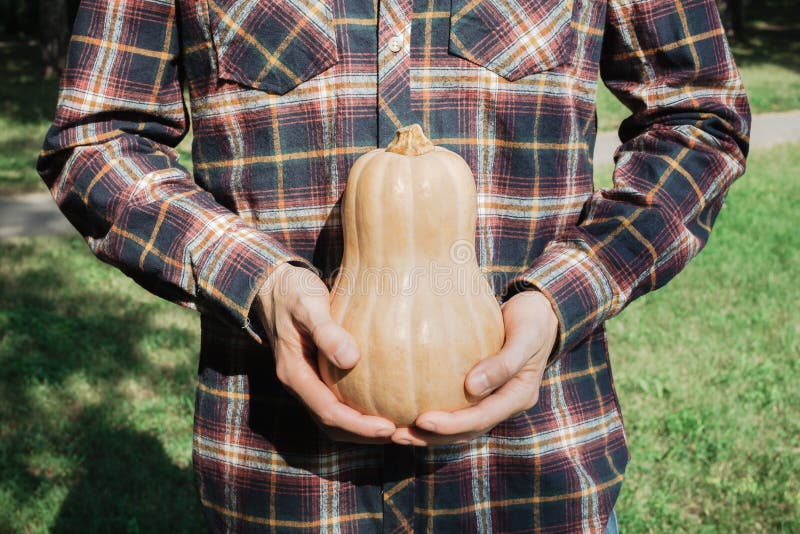 Tir sans visage d'un homme dans la chemise de plaid tenant la courge de butternut mûre organique images libres de droits Tir sans visage d'un homme dans la chemise de plaid tenant la courge de butternut mûre organique images libres de droits