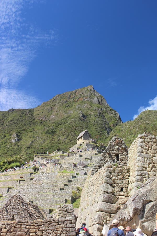 Un tir vertical de la vue dans le lieu historique du du machu picchu situé dans les montagnes des Andes au Pérou dans la lumière du jour