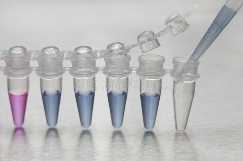 Adds a liquid of blue color into the strip of laboratory test tubes. Tubes containing liquids, blue and pink. Macro shooting. Adds a liquid of blue color into the strip of laboratory test tubes. Tubes containing liquids, blue and pink. Macro shooting.