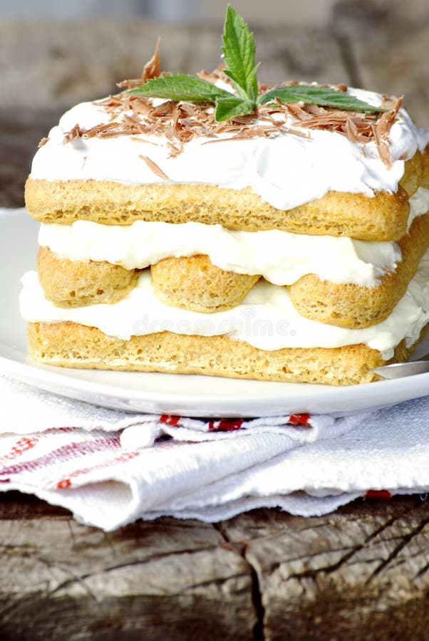 Tiramisu caseiro foto de stock royalty free
