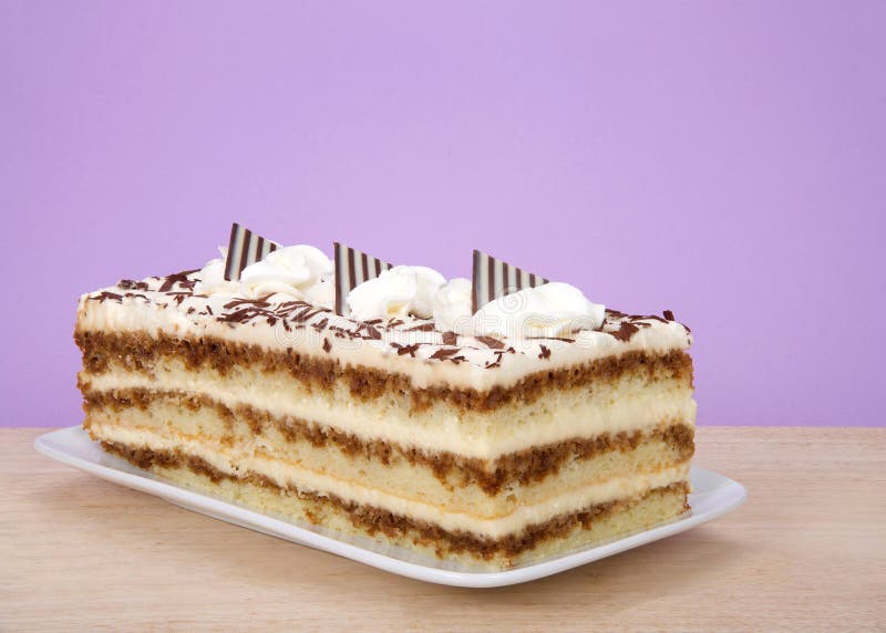 Tiramisu op een rechthoekige plaat op houten lijst met purpere achtergrond royalty-vrije stock afbeelding Tiramisu op een rechthoekige plaat op houten lijst met purpere achtergrond royalty-vrije stock afbeelding