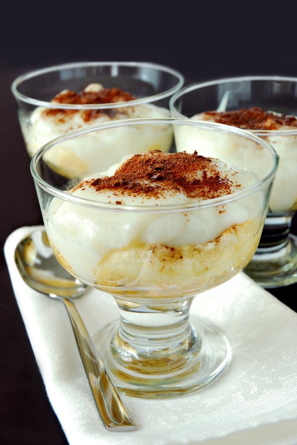 Tiramisu pudding stock photo. Image of ladyfingers, chocolate 3005818