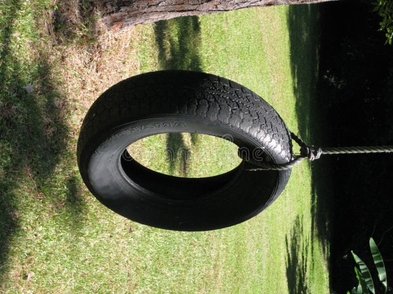 Tire Swing