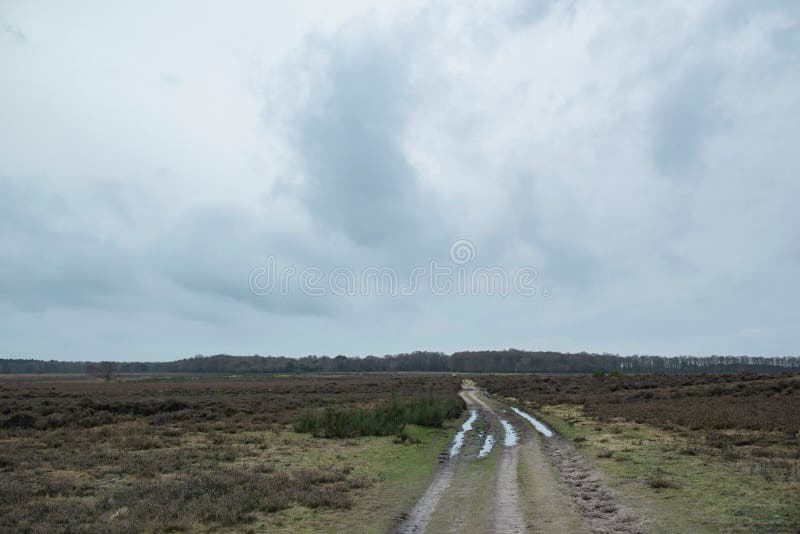 Tire track with puddles in winter heather landscape with cloudy