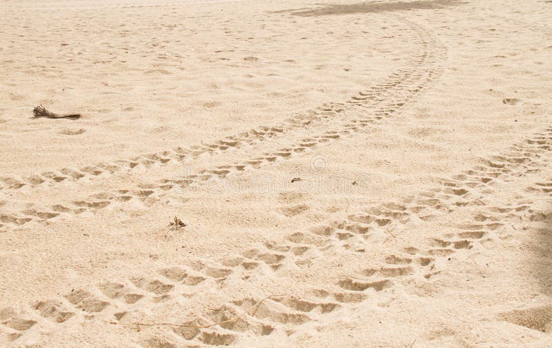 Tire track on the sand royalty free stock images Tire track on the sand royalty free stock images