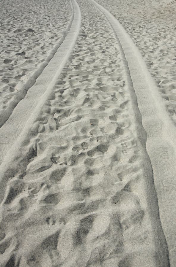 Tire tracks on the beach