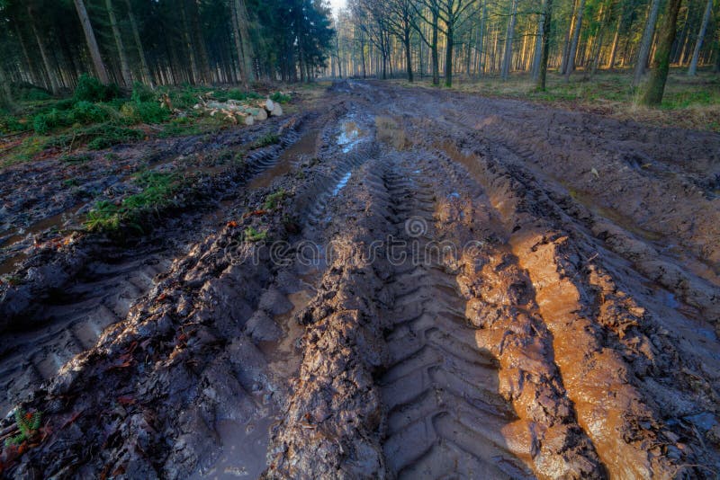 Tire tracks in mud