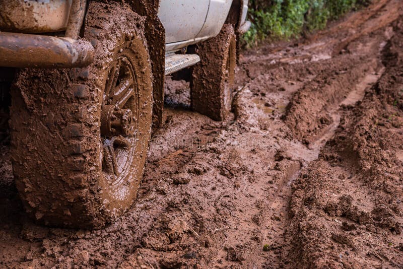 Tire tracks on a muddy road. 