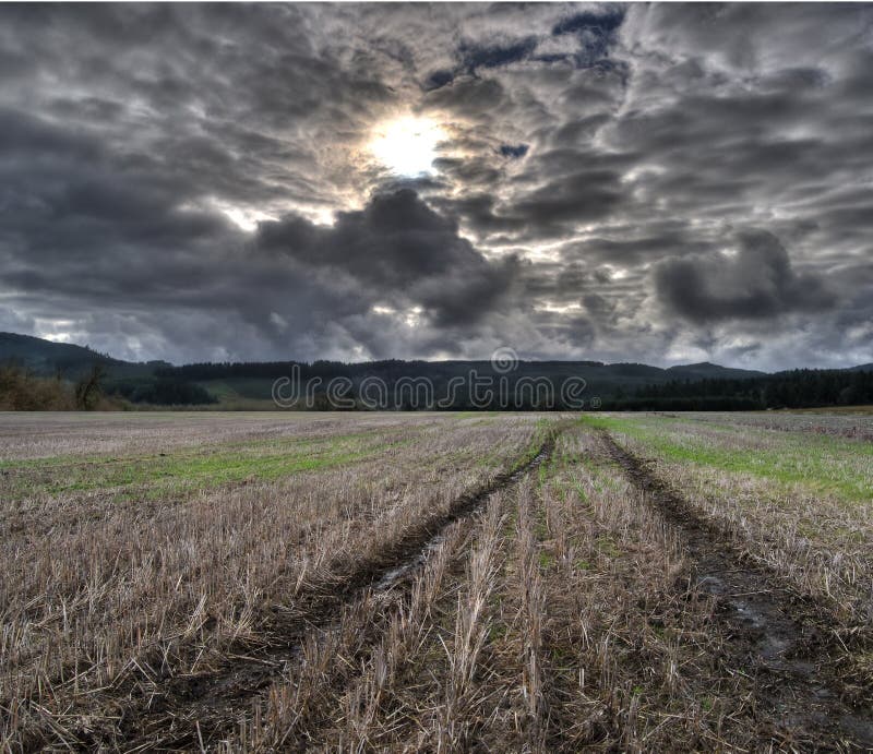 Tire Tracks Trail in Cultivated Farm Land Field