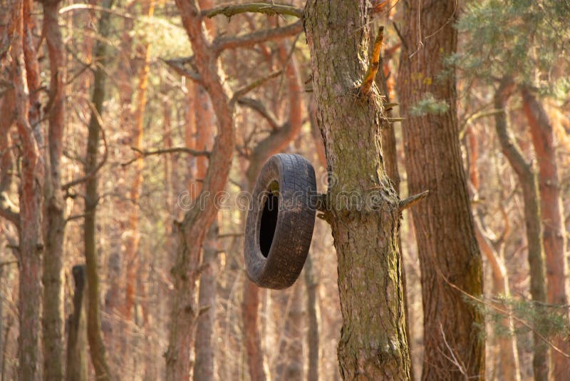 Car Tire Pollution at Coastal Stock Image Image of contamination