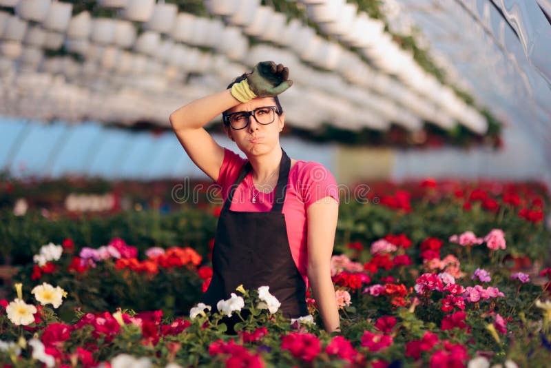 Woman Suffering Injuries While Working in Floral Greenhouse royalty free stock image Woman Suffering Injuries While Working in Floral Greenhouse royalty free stock image