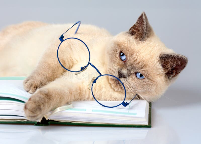 Tired of reading royalty free stock images