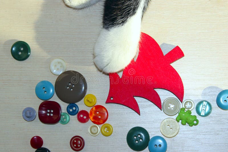 Tiro cosechado de Cat Playing With Christmas Toys foto de archivo libre de regalías Tiro cosechado de Cat Playing With Christmas Toys foto de archivo libre de regalías