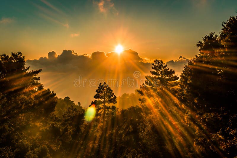 Tiro dramático de HDR da floresta do por do sol fotografia de stock Tiro dramático de HDR da floresta do por do sol fotografia de stock