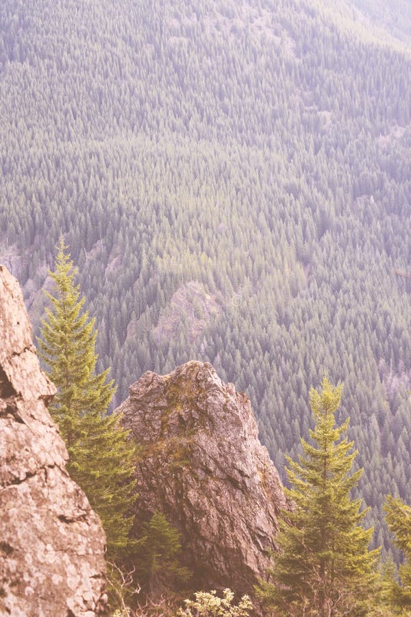 Tiro hermoso de altas montañas rocosas y de un bosque fotos de archivo libres de regalías Tiro hermoso de altas montañas rocosas y de un bosque fotos de archivo libres de regalías