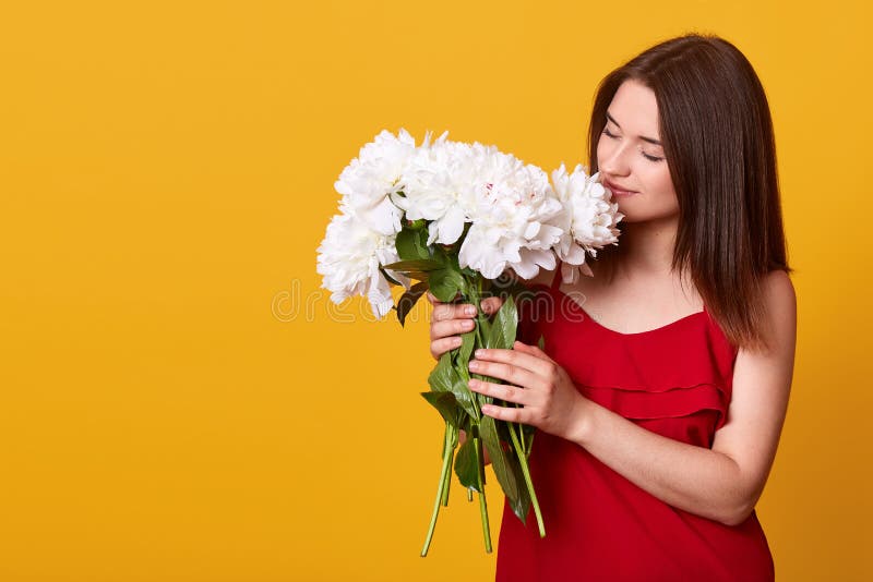 Tiro interior de la se?ora dulce blanda atractiva en la presentaci?n roja del vestido aislada sobre el fondo amarillo, sosteniend imagenes de archivo Tiro interior de la se?ora dulce blanda atractiva en la presentaci?n roja del vestido aislada sobre el fondo amarillo, sosteniend imagenes de archivo