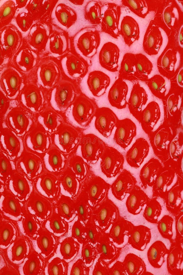 Macro shot of a ripe strawberry, forming a background. Macro shot of a ripe strawberry, forming a background