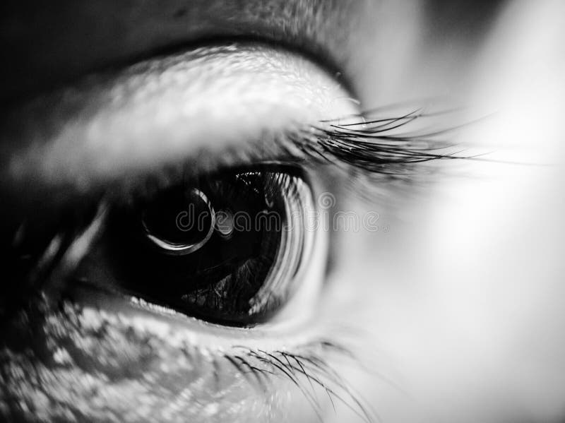 Tiro macro de un ojo en blanco y negro imagen de archivo Tiro macro de un ojo en blanco y negro imagen de archivo