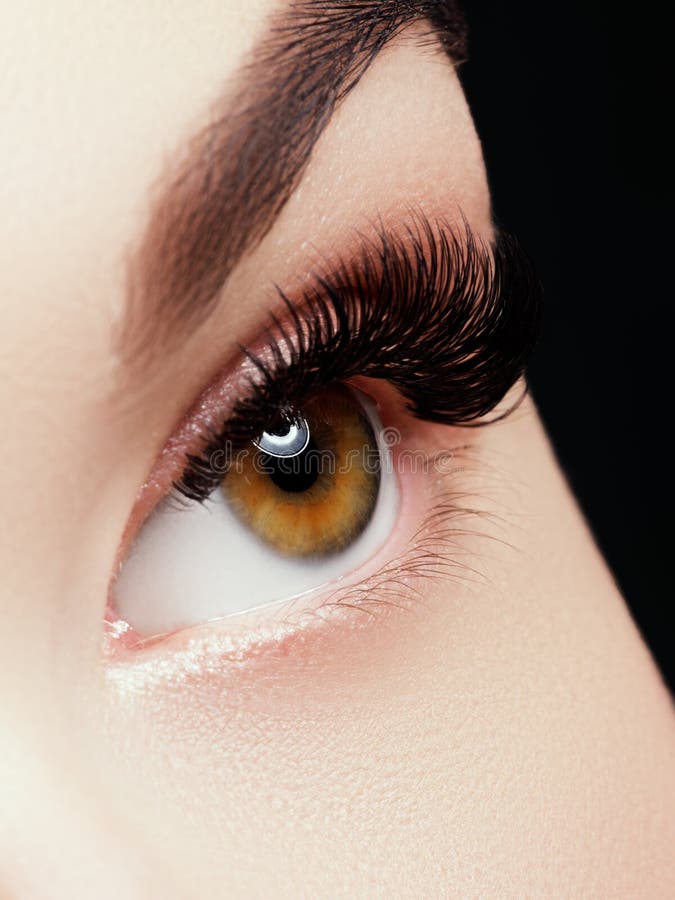Tiro macro hermoso del ojo femenino con las pestañas largas extremas y el maquillaje negro del trazador de líneas imágenes de archivo libres de regalías Tiro macro hermoso del ojo femenino con las pestañas largas extremas y el maquillaje negro del trazador de líneas imágenes de archivo libres de regalías