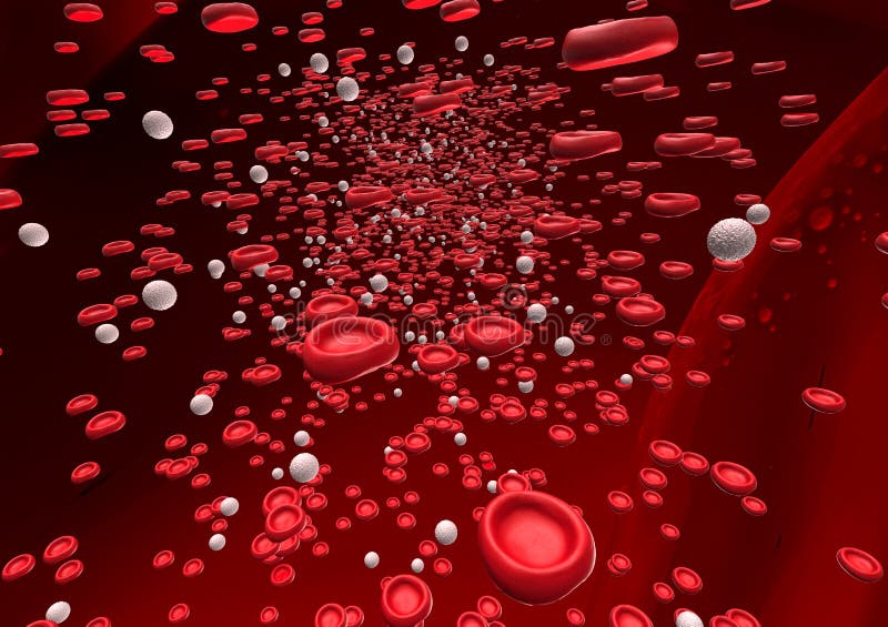 Tiro que fluye de los glóbulos rojos una arteria