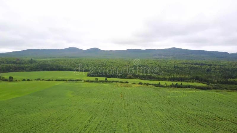 Tiros de drone no quebec canadá