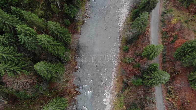 Tiros de drones ao longo do rio, floresta e estrada da montanha