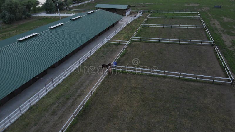 Tiroteio em drone do clube equestre com edifícios e cavalos