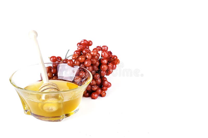 Tisana quente com mel e viburnum, imagens de stock Tisana quente com mel e viburnum, imagens de stock