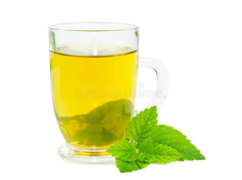 Tisane лимона бальзама стеклянный стоковые фотографии rf
