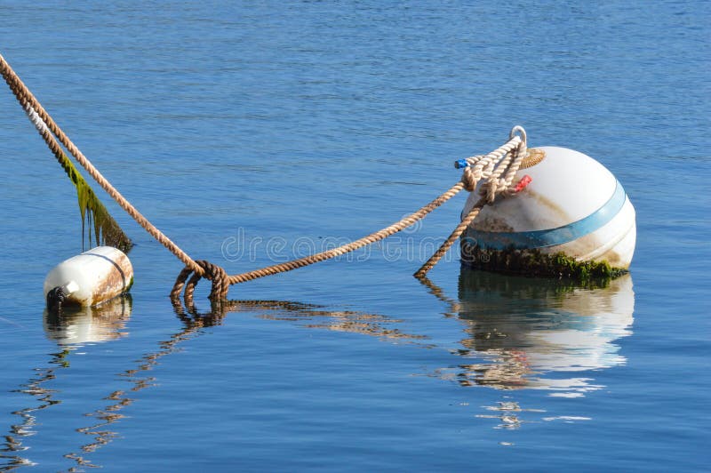 Title Mooring Ball and Fender Maalea Boat Harbor Stock Photo Image
