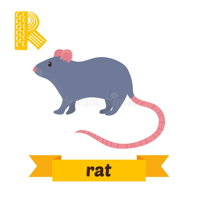 tjalla R-bokstav Djurt alfabet för gulliga barn i vektor Rolig ca royaltyfri illustrationer tjalla R-bokstav Djurt alfabet för gulliga barn i vektor Rolig ca royaltyfri illustrationer